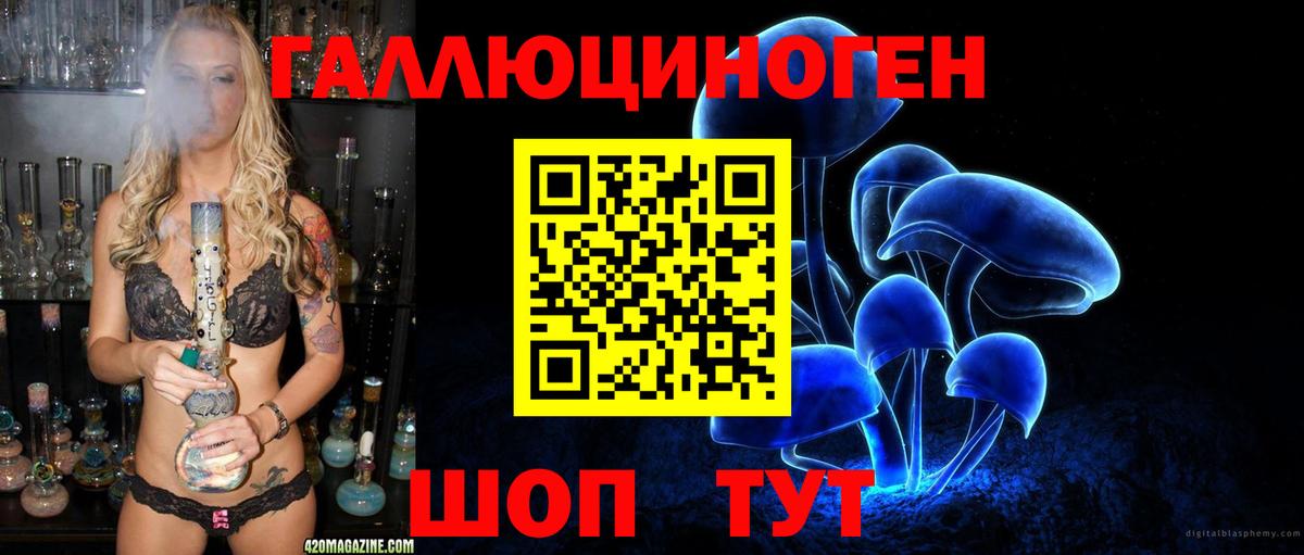 Галлюциногенные грибы GOLDEN TEACHER Жуковский